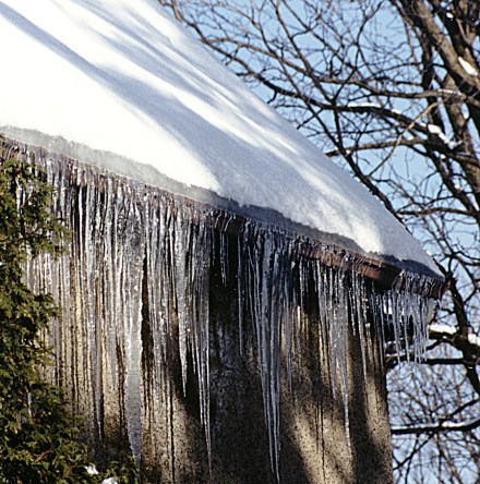 Ice dam as seen on the outside - lots of icicles!