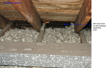Leakage from ice dam soaking wood along eaves