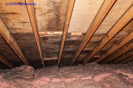 Persistent leakage from ice dams (and other causes) supported the growth of mold in the decking.