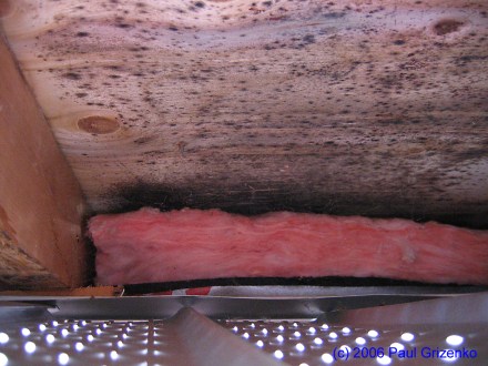 Example of mold buildup on decking due to leakage and poor ventilation