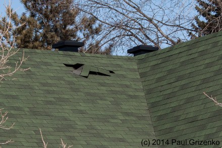 Shingle Blowoff_MG_8894_v2