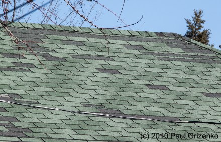 Shingle_Blowoff_MG_8769_v2