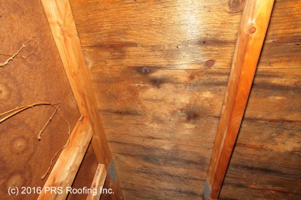 Poor Underlay_S_1060.jpg